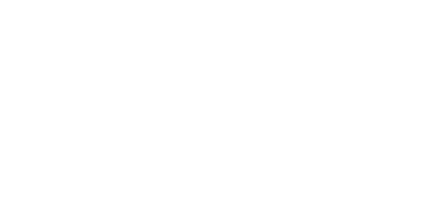 Logo Casa Brickii
